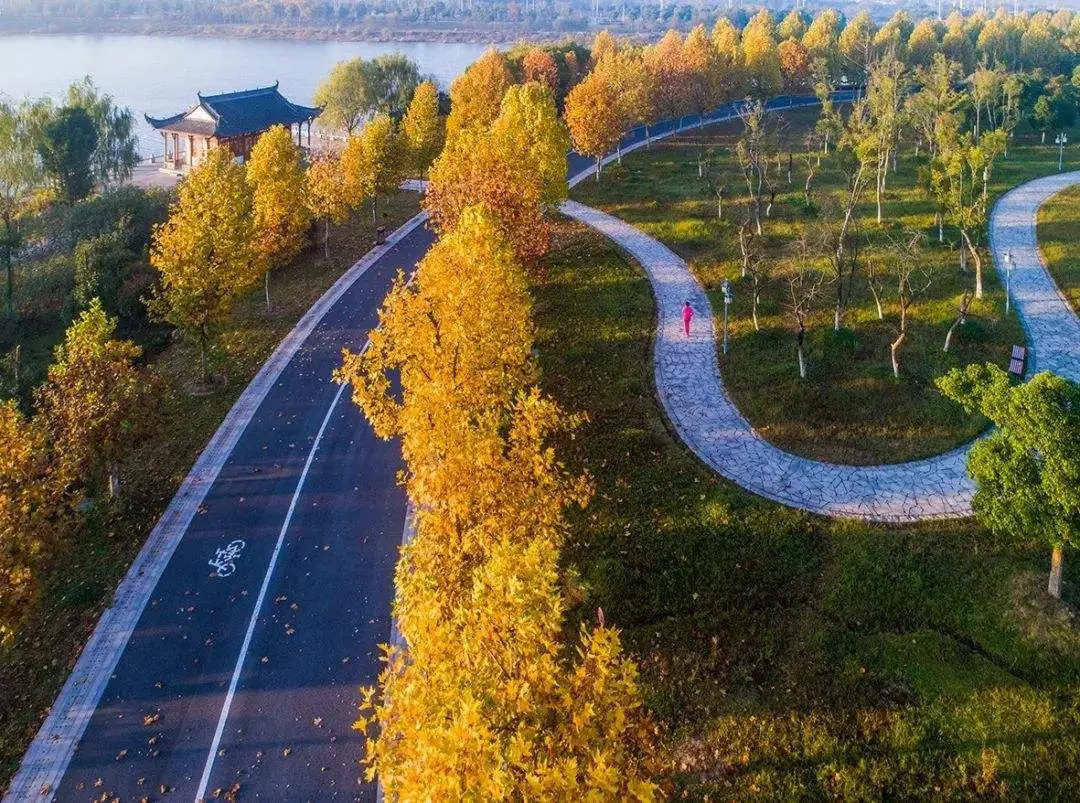 29819b8cfd198c86428e0437b240263b-sz_209090