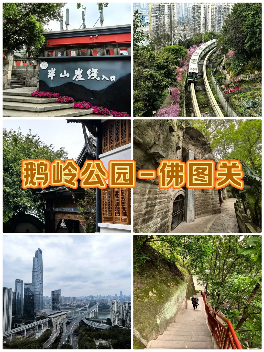 2a0935b25080d195b62db98beadbab89-sz_3118672