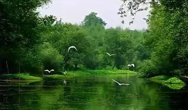 2a31c4225b893d2dc694150a603d1929-sz_357246