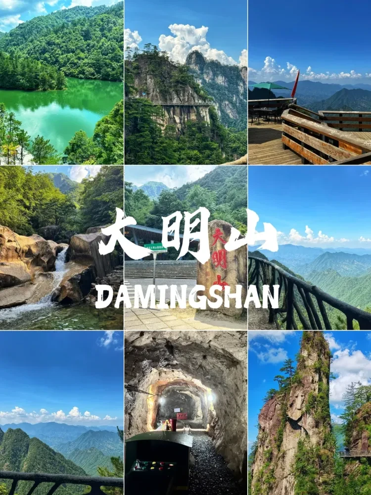 2a57b008a5b6cb8ce96e0fc3d2691986-sz_3475786