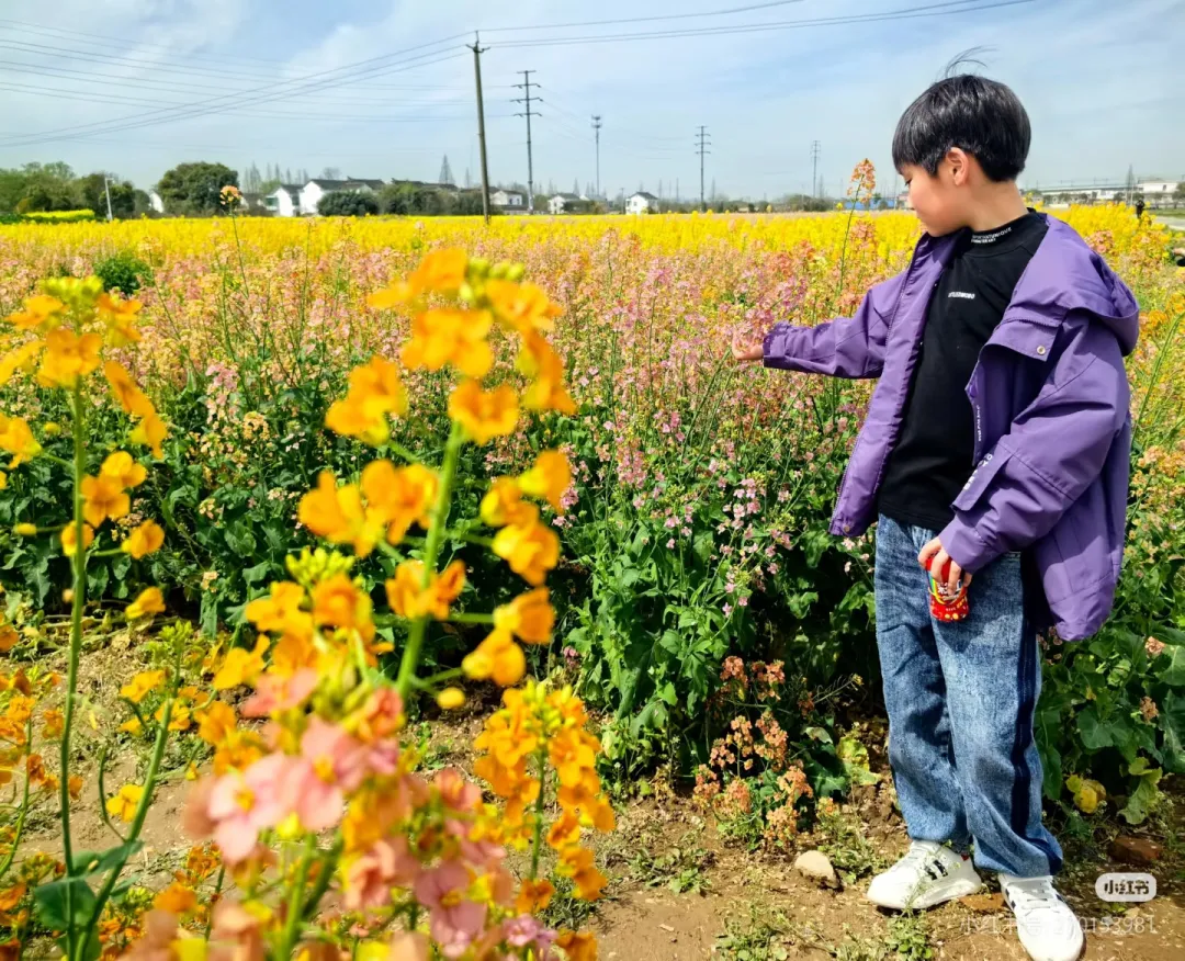 2a7f1168ad904d98402cf5de79df456f-sz_1347049