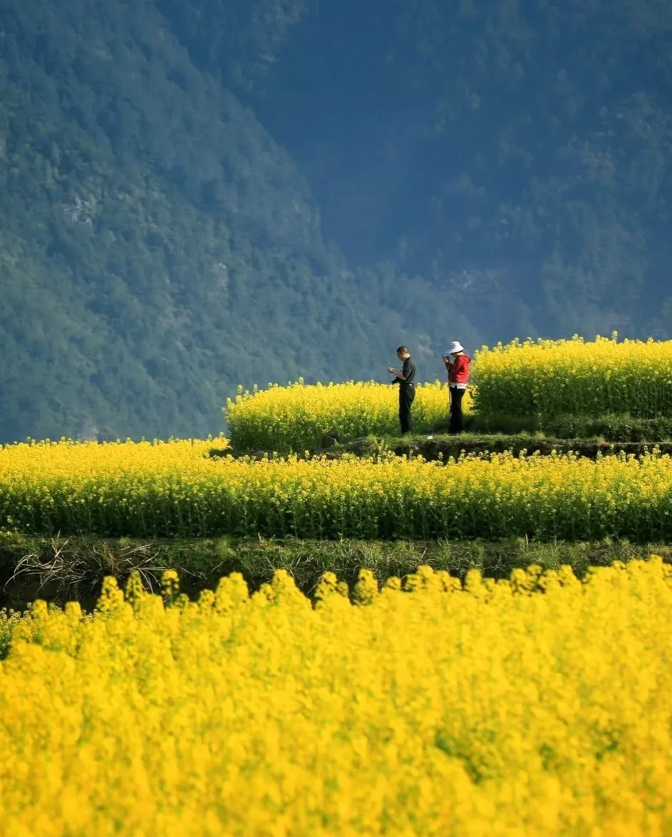 2a967c9d2468f13e38968b446893fa6f-sz_717102