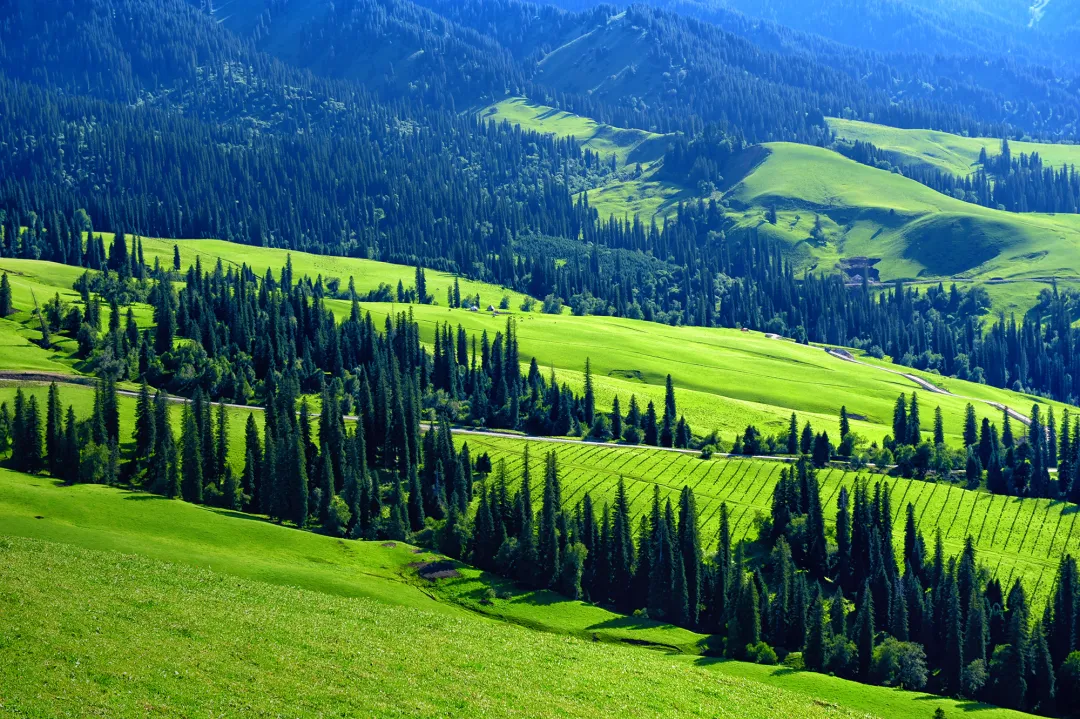 2ad03fa456091a3123f1fb00ff9d6ace-sz_3356367