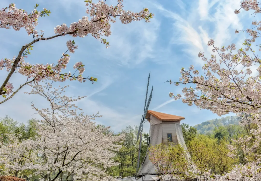 2ad5d799c7a3d8b3195b66e5df7748fb-sz_1260611