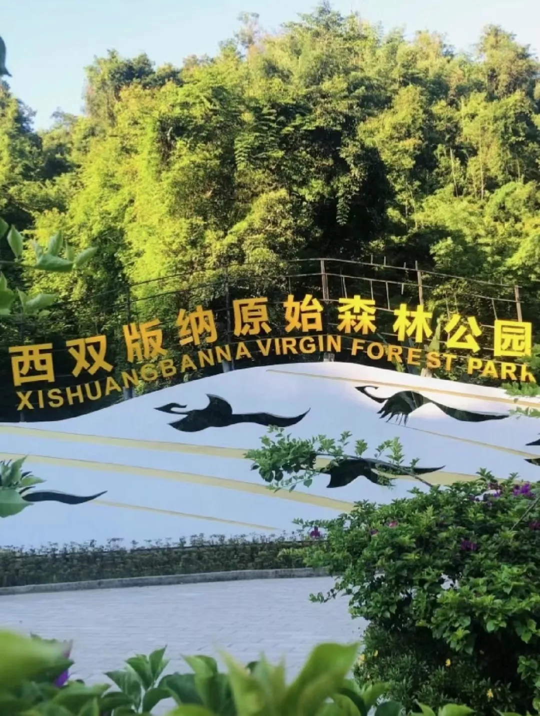 2aed5891c4e2334042f503300a8e34e5-sz_507886