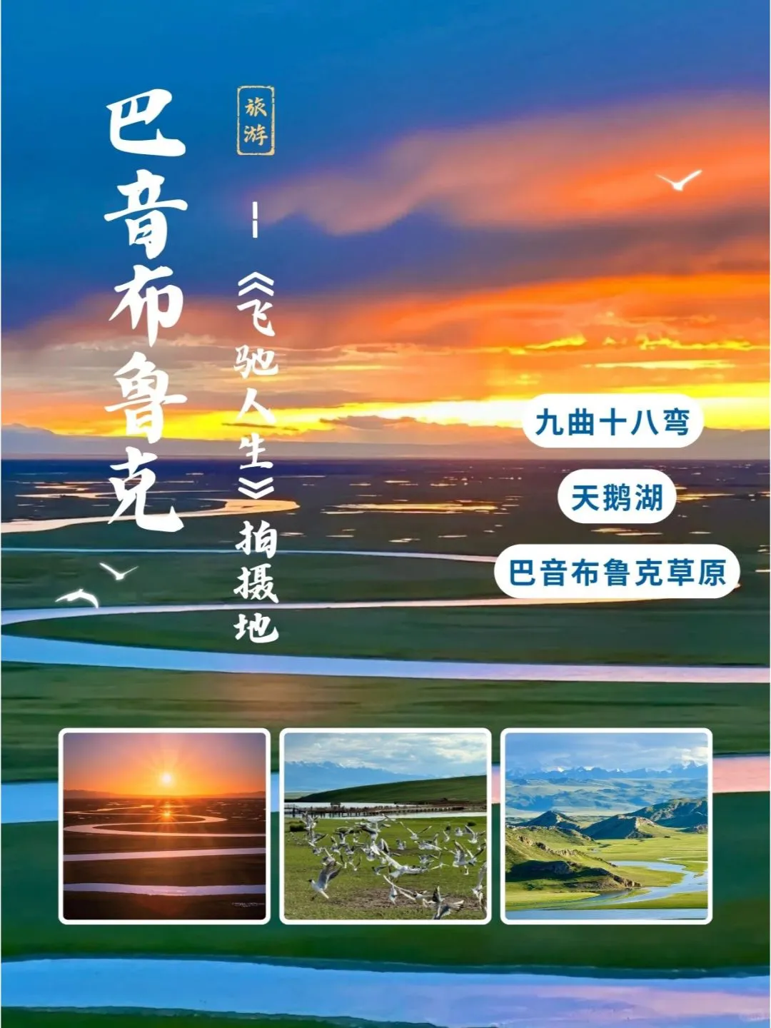 2af7bf1d62d3288362a14fb53d21e5a4-sz_1844228