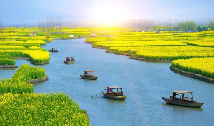 2b0db78ea47e69fc8064bafa7faf4731-sz_1628393