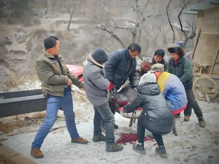 2b51be618034c78ce88478c5f8d158d7-sz_5900381