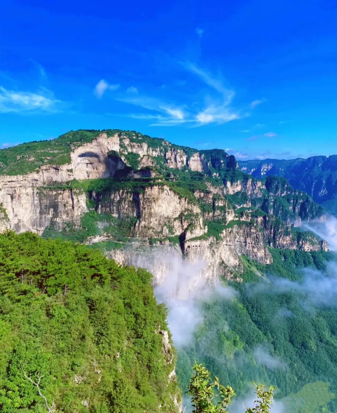 2b6c8c55791059b33682f2b53d2bb87b-sz_2870282