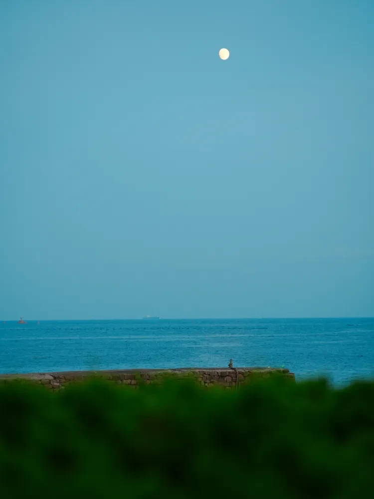 2b9523ea71ab3c01395adb6cbadee979-sz_1193536