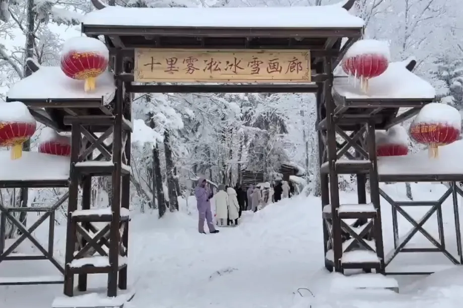 2bad5106d72bf6bfe701bf1af61bf215-sz_751954 2bad5106d72bf6bfe701bf1af61bf215-sz_751954