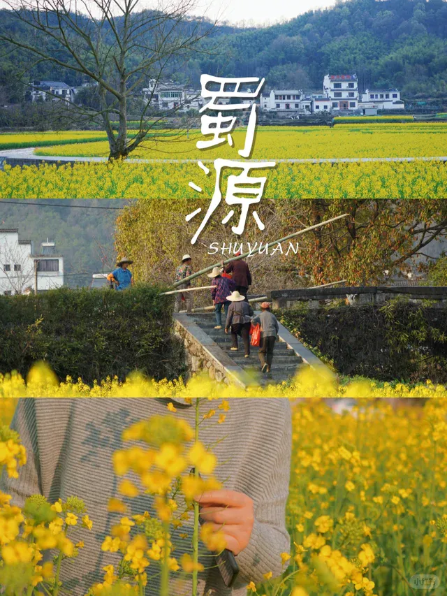 2bc89735c9712e0e572117dbae551656-sz_1020913