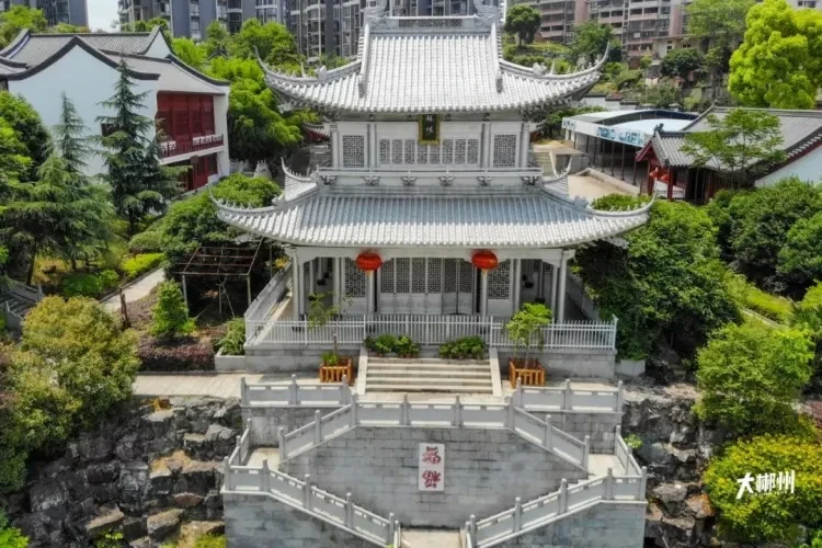 2c52cc55d7c9245d893046b074e17b42-sz_206117