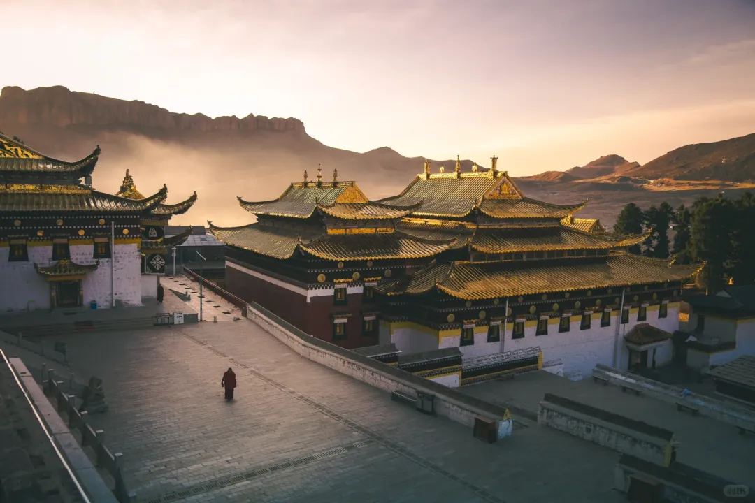 2d3d5f1bff2146ae699681a2dd287dc8-sz_2129489