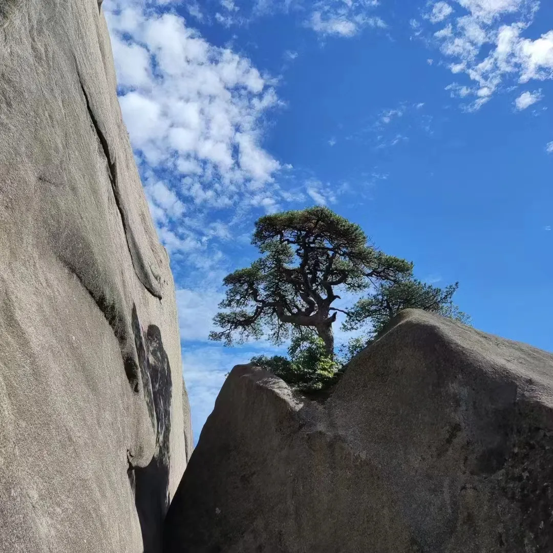 2d6b802b7b35a9b5f69f73e42aaf4d13-sz_837273