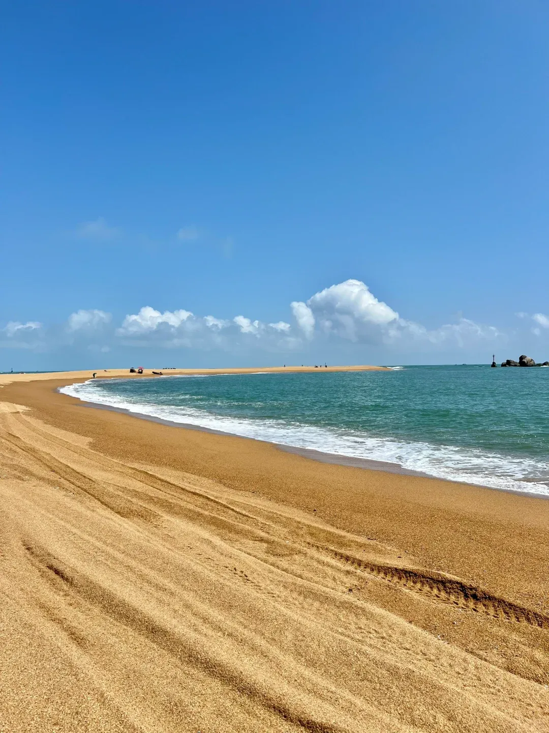 2d88dbad409df41dbaddcd4e0c90991e-sz_1871096