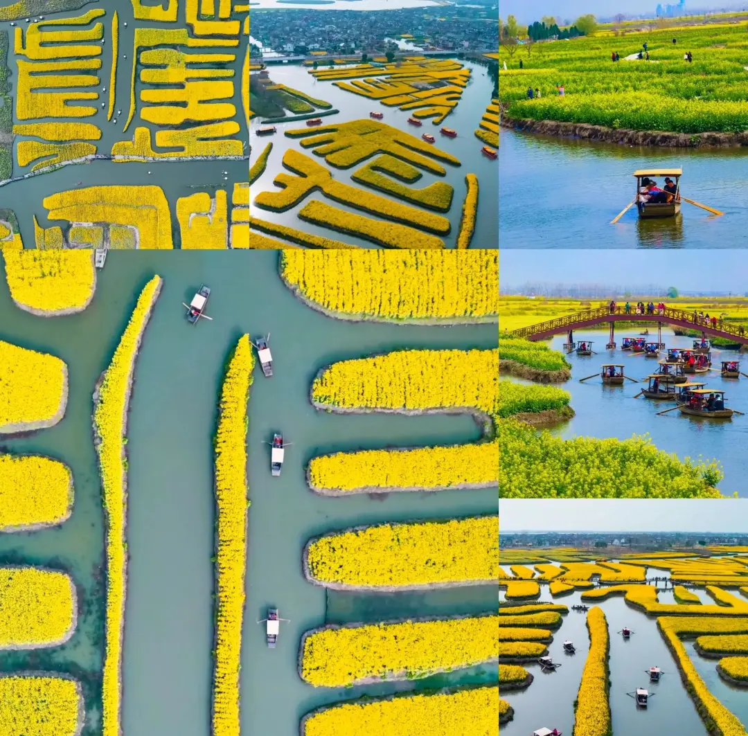 2dfc534eeea9a5ed660988fb6b9093f5-sz_647692 2dfc534eeea9a5ed660988fb6b9093f5-sz_647692