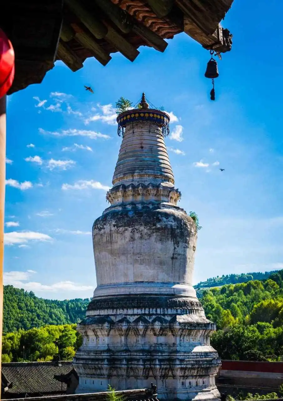 2e9408621206f632a3a5f912ad96cc65-sz_114396