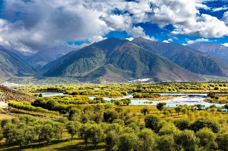 2eb5d46dd60d2a16f3d0c88f6068df51-sz_208564