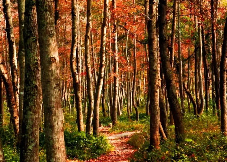 2ee689beb8d42dfade83080b95ddb3f5-sz_4202134