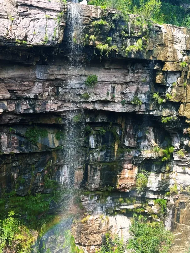 2f623221df155a3a553aae46783c348a-sz_3765275