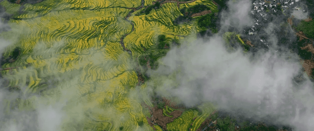 2f72be8b0ce7482a857d5893749e992a-sz_10426907