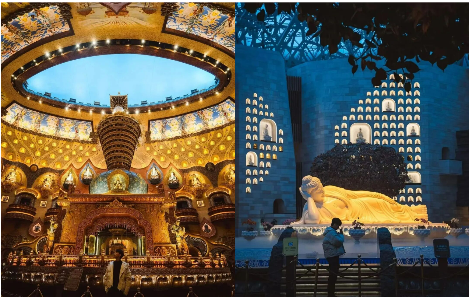 2fca25c05e5e8ab0d399553645e24cde