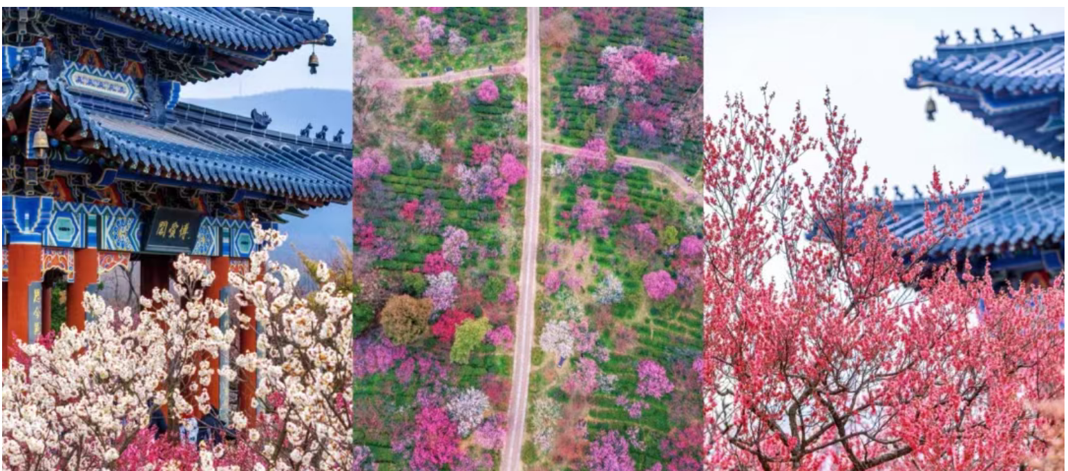 30829e1a7f198e59be21dc9937ccf6cc