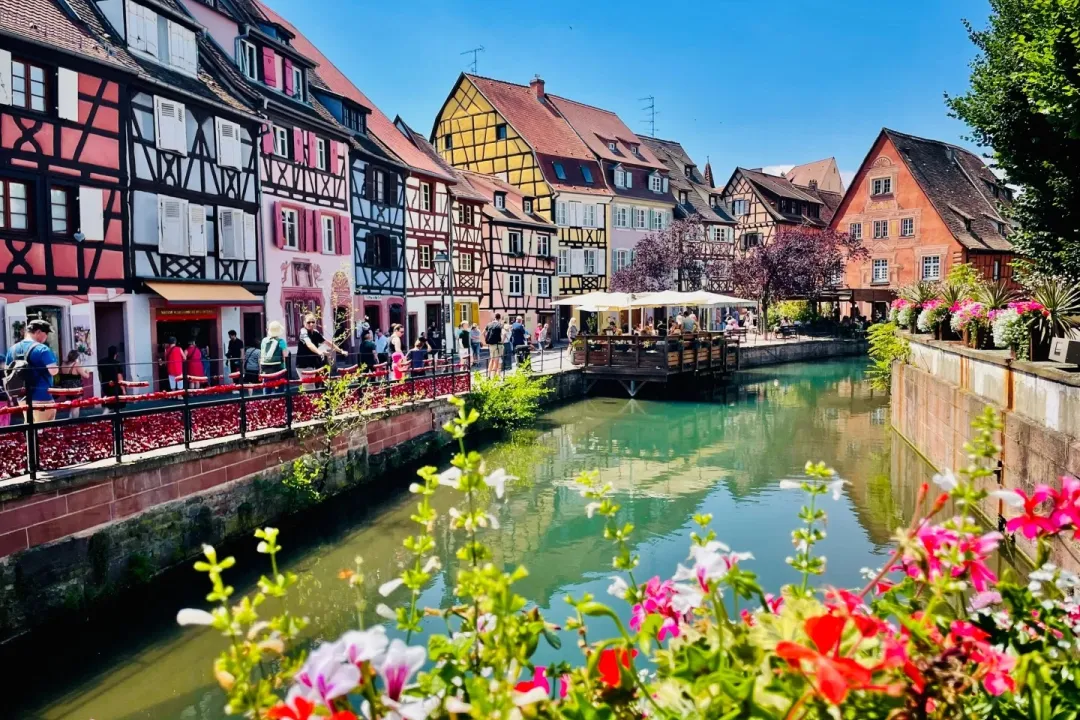 30977950a288fb788abf8acd6034f8ed-sz_602539