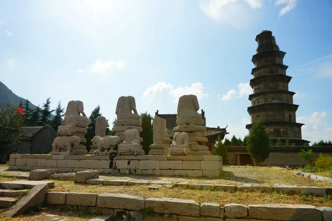 30d331849dcb378eb7ac6e65f67cad3e-sz_2025998