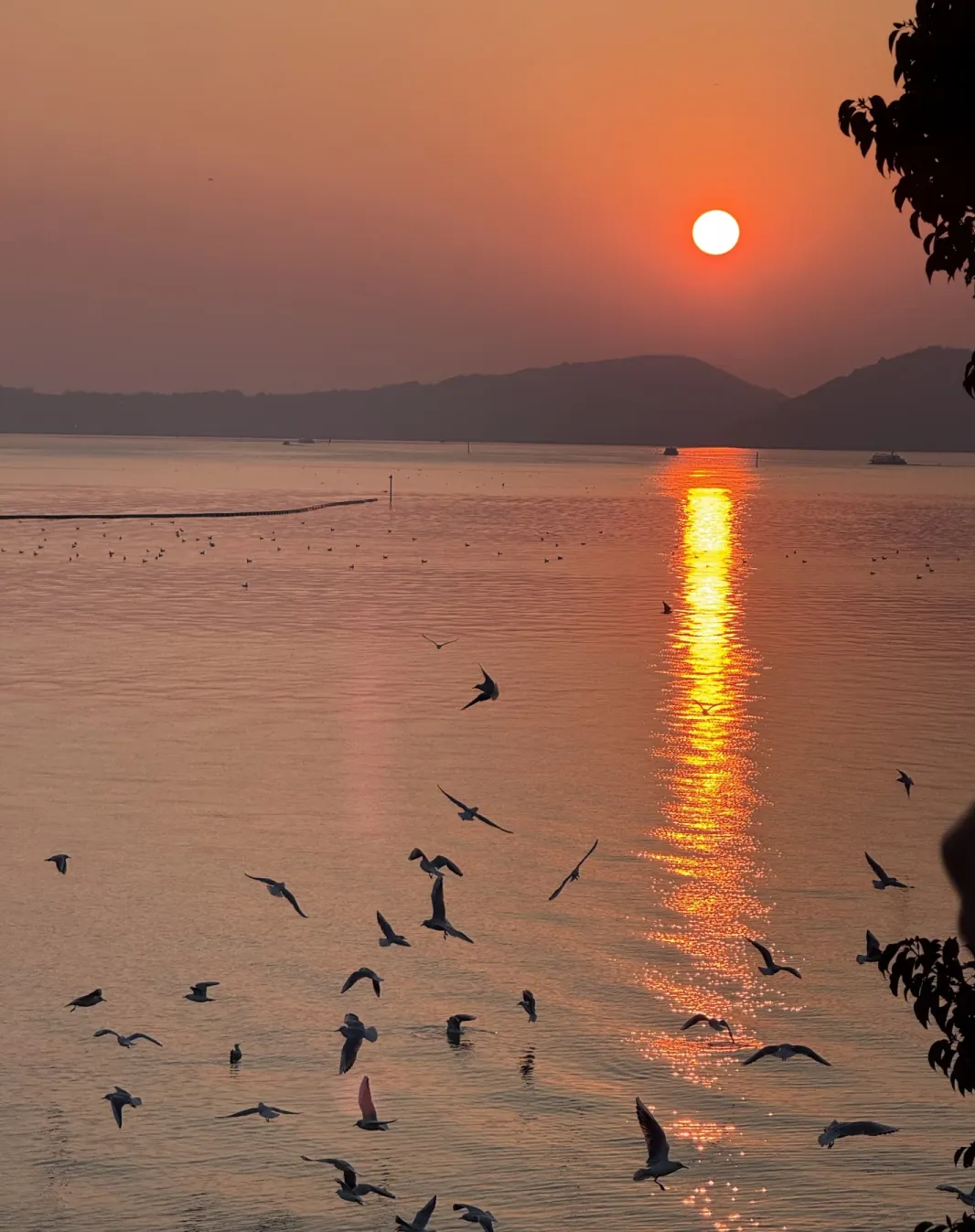 314bb4b473d4c54684d9a9262816aef2-sz_1276110