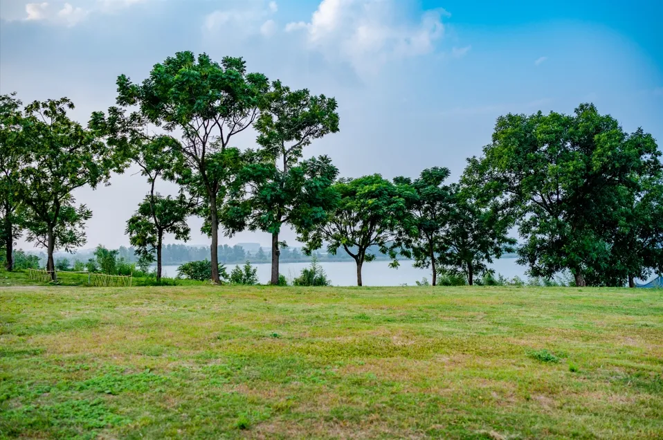 316dc27c23656a35bb9385ba1f2a103b-sz_588203