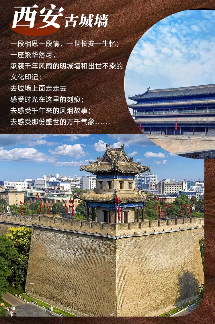 31e3e98a30bfab38b95ea9f6182a26c1-sz_916341-1