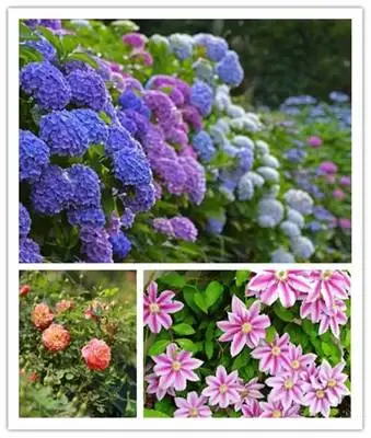 324bd32ba8a5d2345f77241acb45e3bd-sz_31857-1