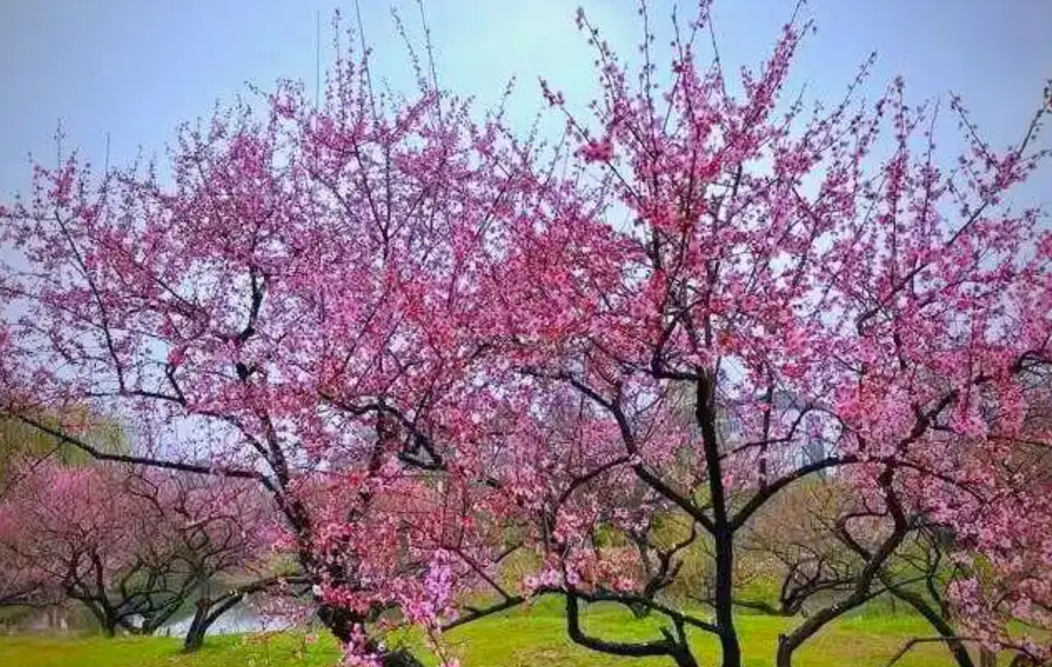 32beae71063f0ee1c0dc80808f973a89