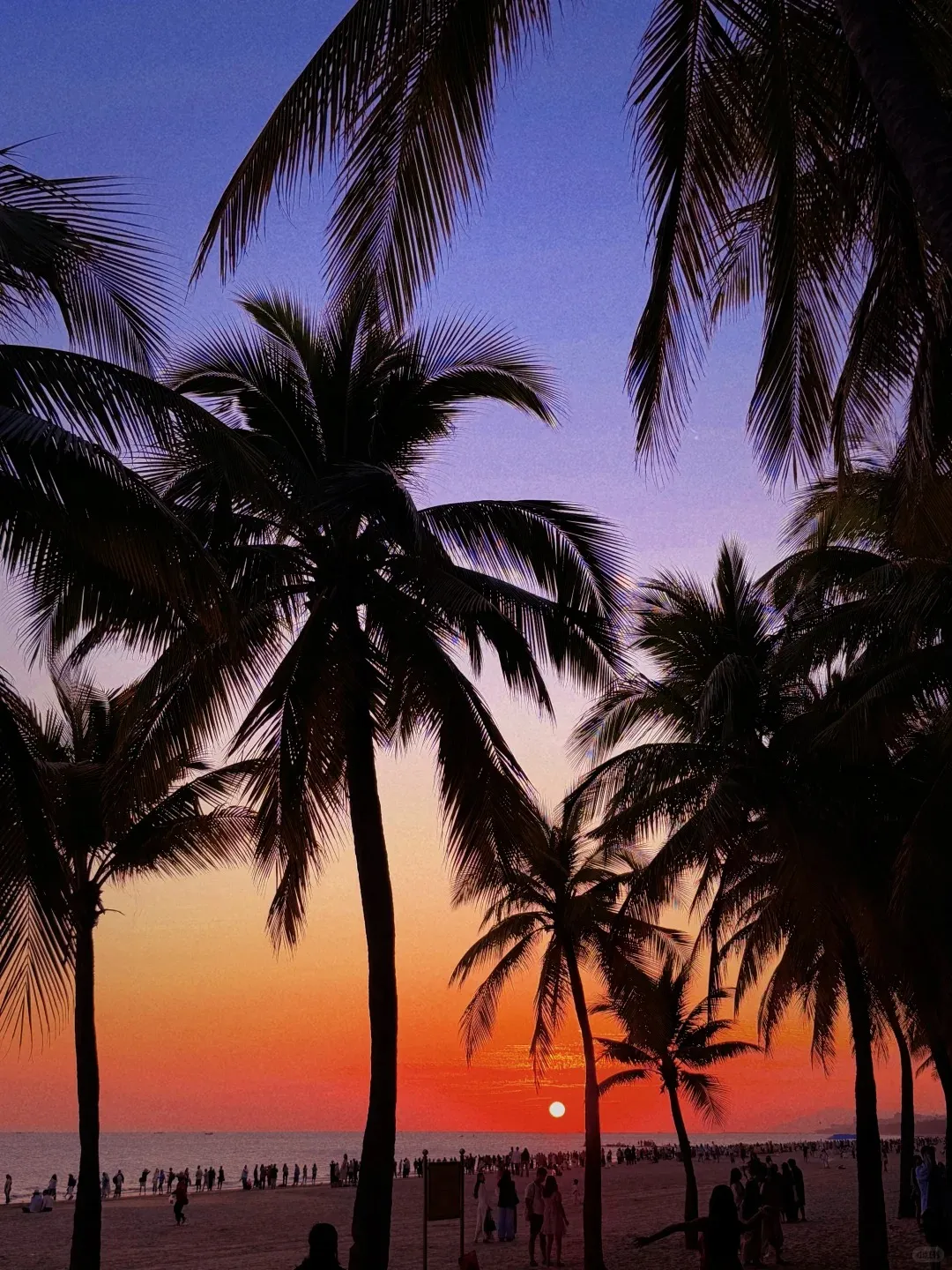 333bf4c4f7b10d153774664932d6ada2-sz_545062