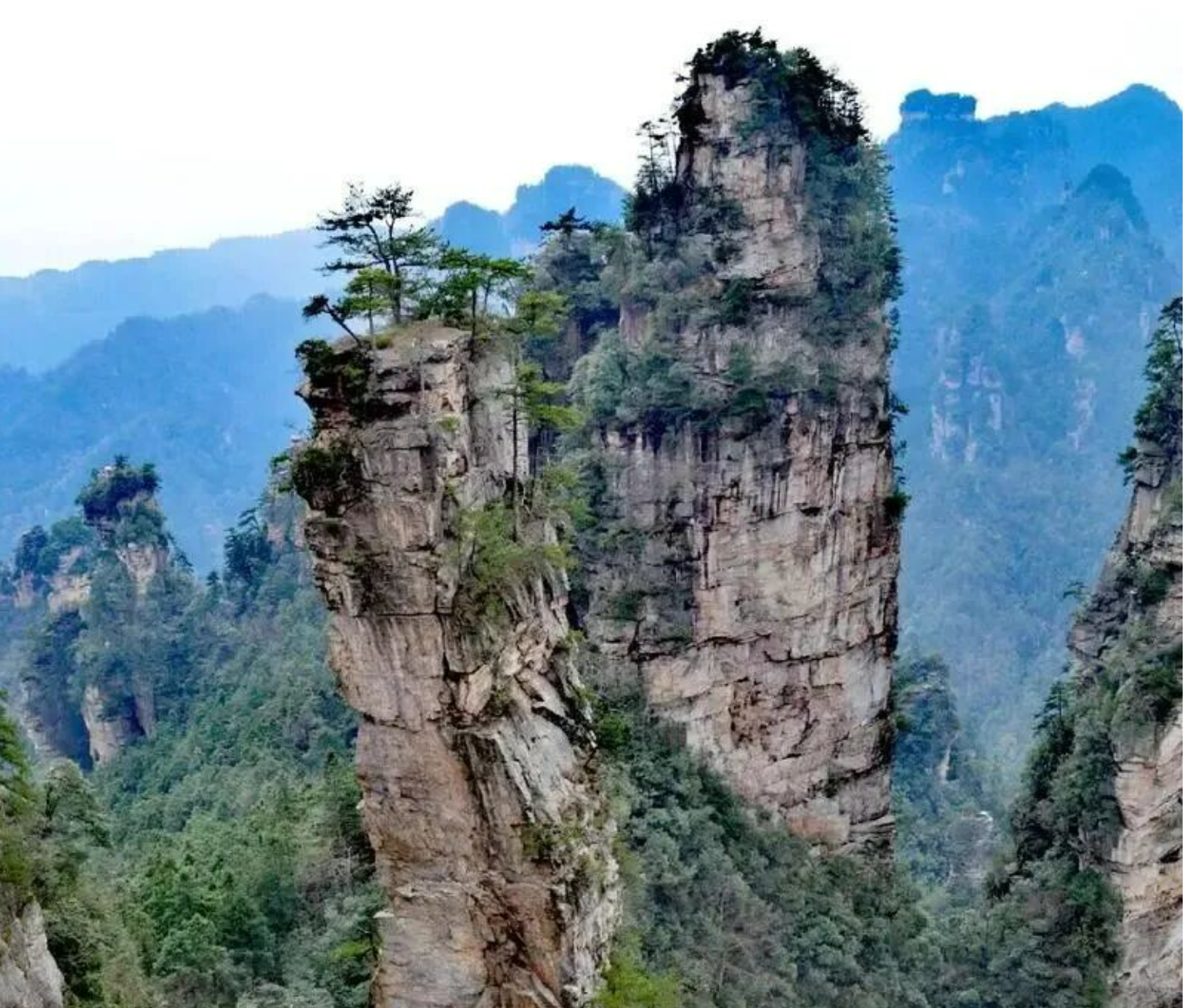 337d6c3da43e247d91af648a3e989b62