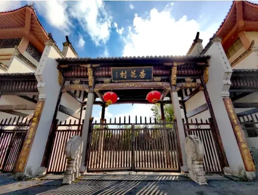 339dbbf3db336db715a6696209139a8e-sz_493773