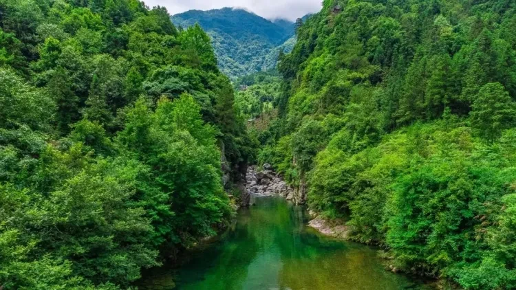 33c21f9d7172914f29913b841f433bbe-sz_219756