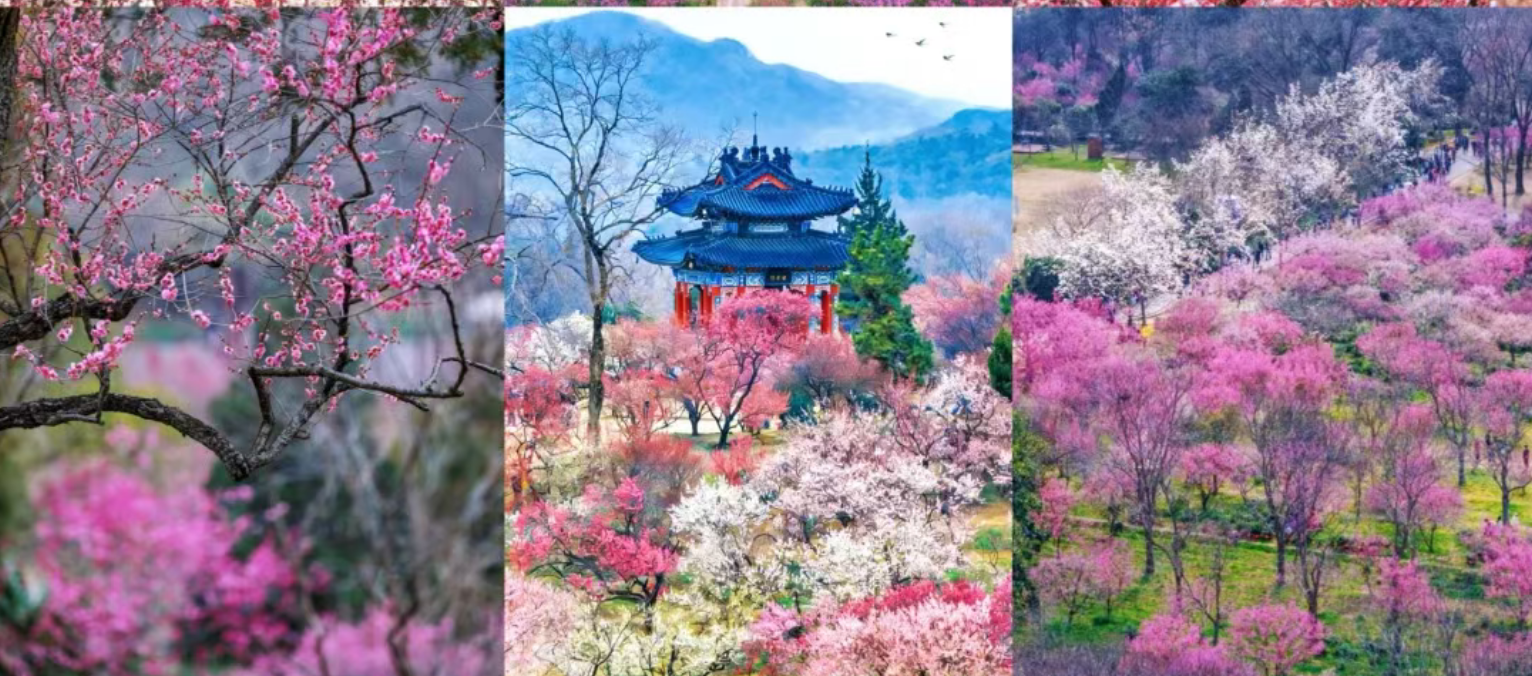 33d0b1e701d92907b3a8c228bc53fcb1