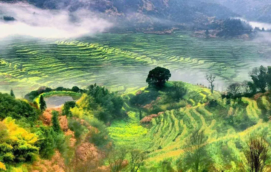 343f82b6f9ff3b8815a850838bb08a9d-sz_161727