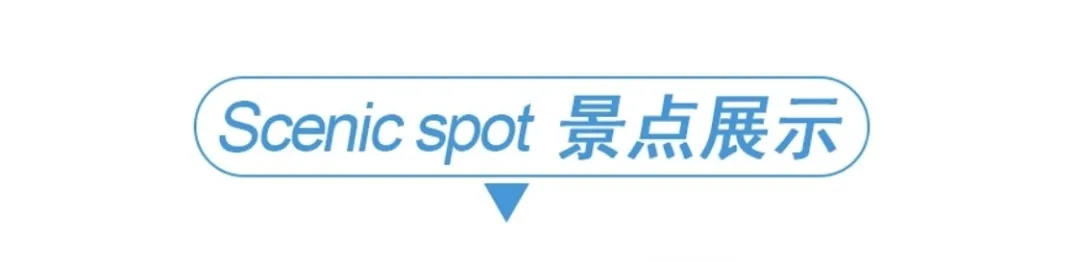 3468a22e2b47444950d350f79d2df5be-sz_31203-1