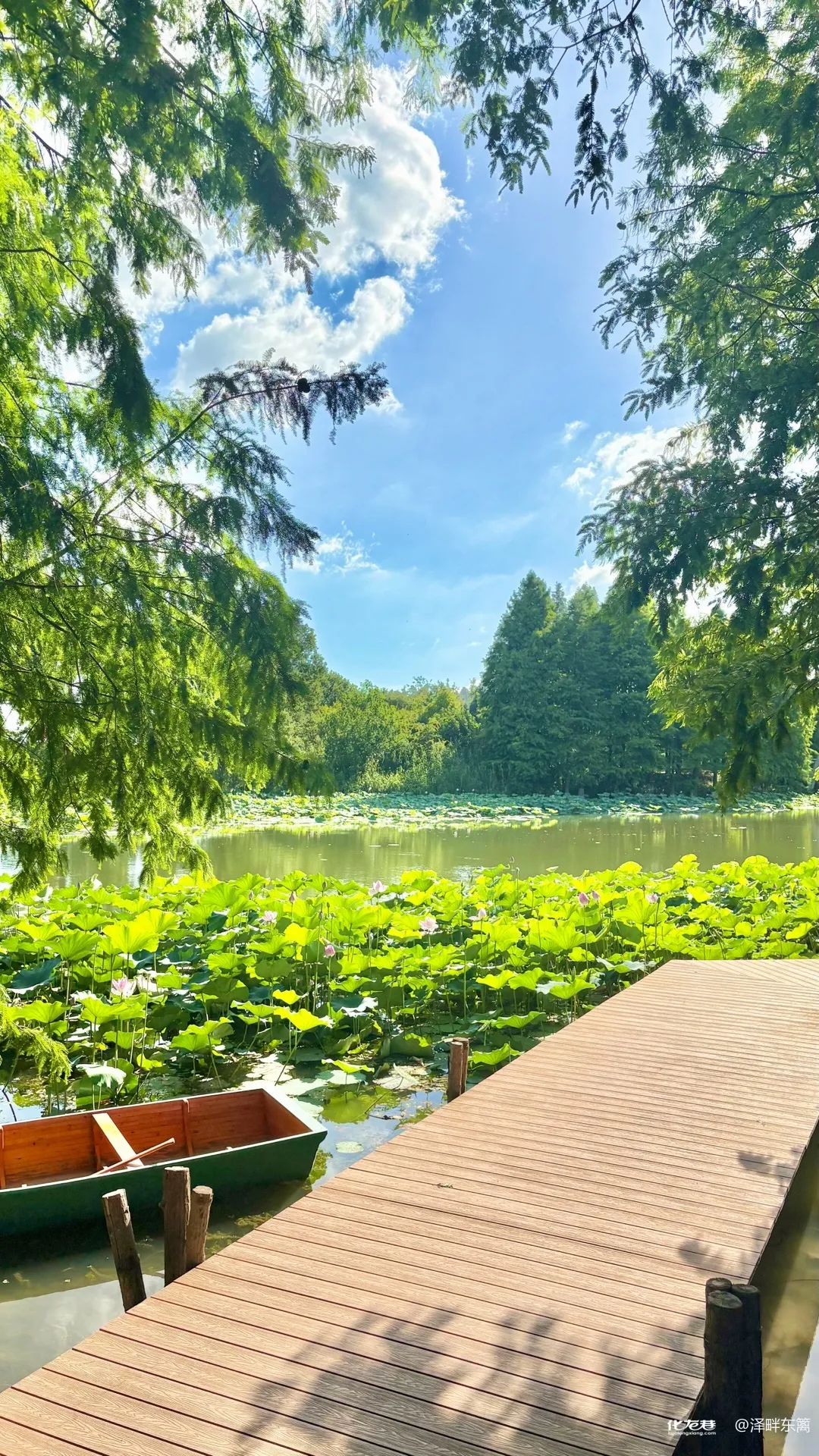 纯玩【穿越春秋淹城三日398元】2晚连住四星金鼎明都酒店💎，豪享6顿丰盛自助餐💎，棋牌/KTV免费畅玩💎，游春秋淹城、青果巷、红梅公园、天宁寺