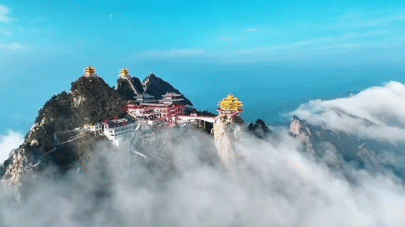 356f06ce218472e1d8e25f98592e8063-sz_4920319