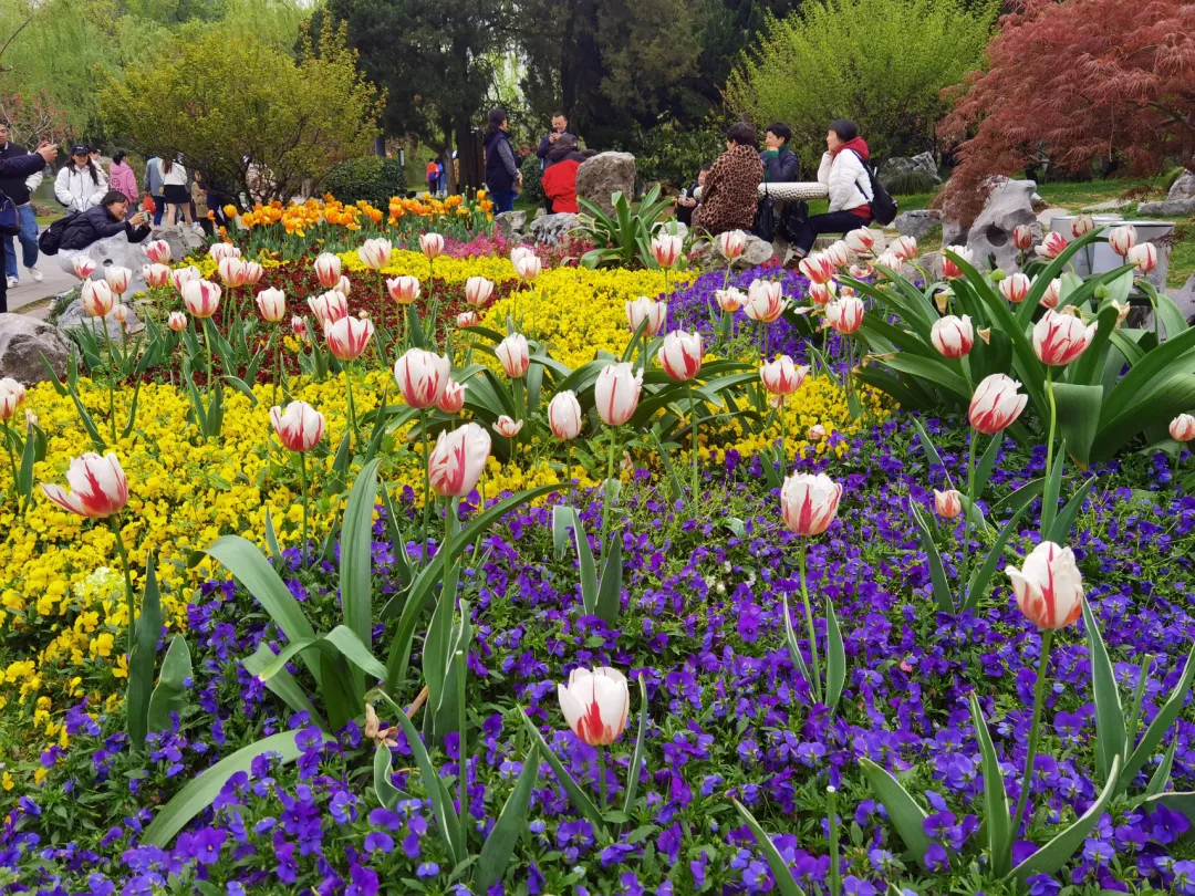 3580844620dcfd258e9dc764a767bcbe-sz_2177245 3580844620dcfd258e9dc764a767bcbe-sz_2177245