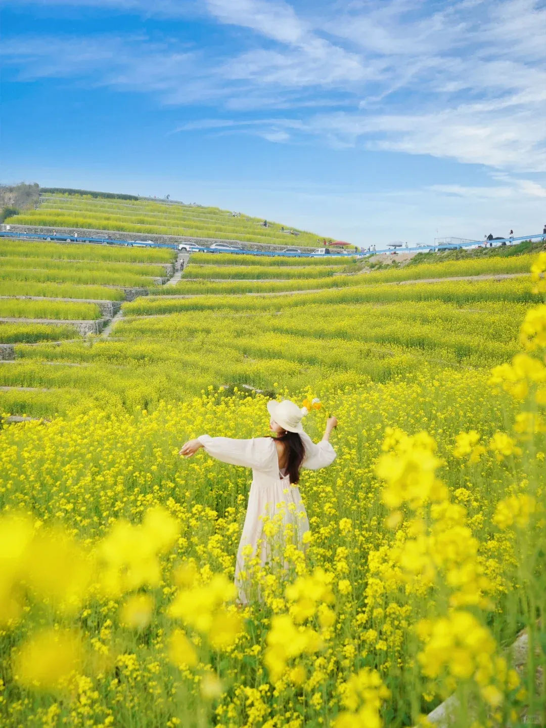 35c763e1c794b369a7a62fd28bc6c5ec-sz_3467844