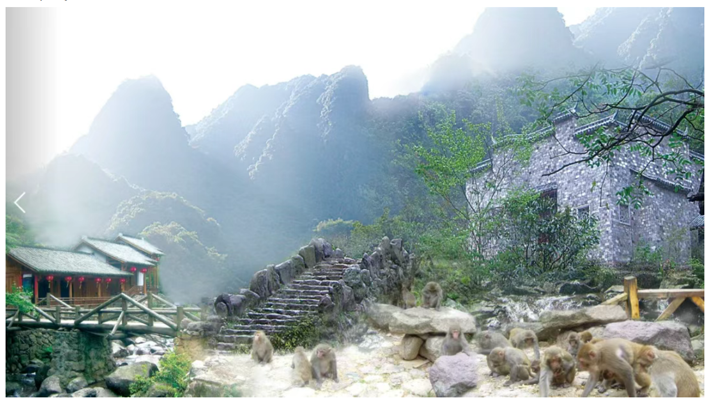 35d9866a0f6621e4da98f2c8a8f2961d