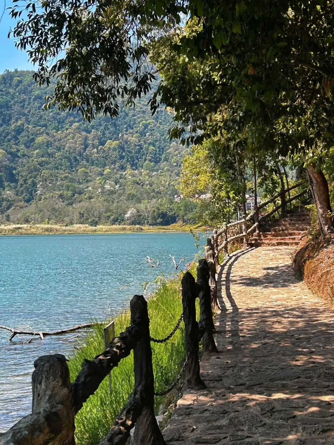 3620590acb7f6f15ec95491770d0428e-sz_4222417