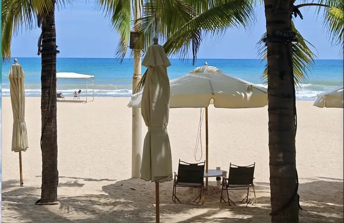 36ad40bac4f3a02e7608e05dd20e9a19-sz_777998 36ad40bac4f3a02e7608e05dd20e9a19-sz_777998