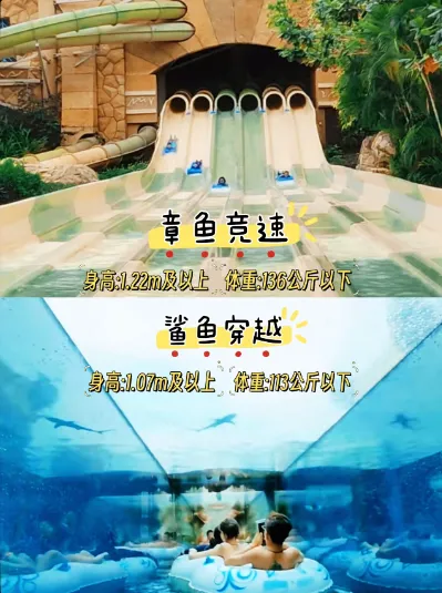 36b165b33e454985712a133ca8e51f01-sz_557842